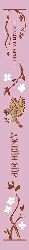 Книга Джейн Эйр (Шарлотта Бронте) — 4