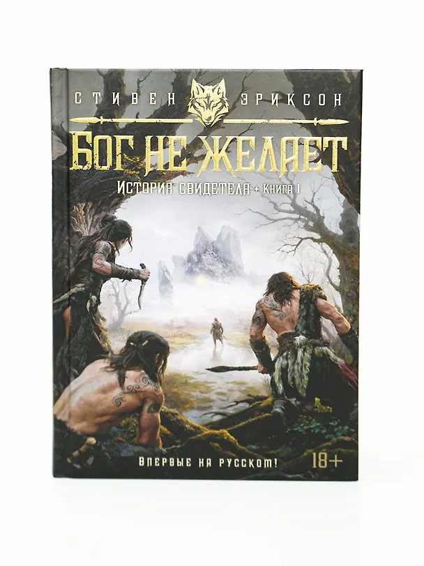 Книга История свидетеля. Книга 1. Бог не желает (Стивен Эриксон) — 12