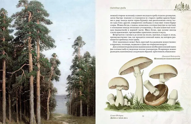 Книга Русский лес. Грибы и ягоды () — 8