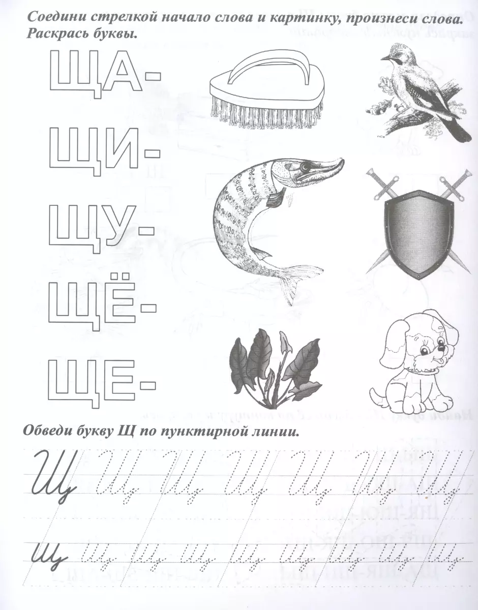 Логопедические прописи. Ч, Щ. Учим звуки и буквы. Для детей 4-6 лет -  купить книгу с доставкой в интернет-магазине «Читай-город». ISBN:  468-0-08-831055-8