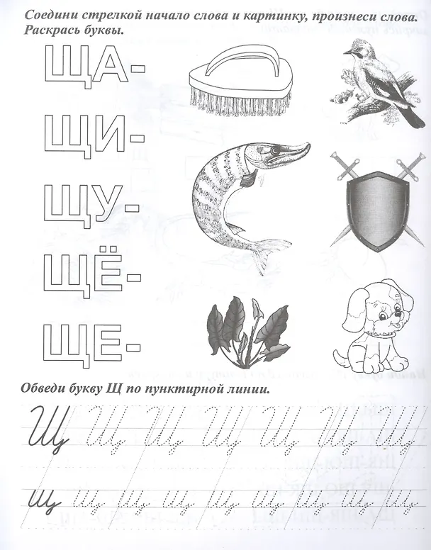 Книга Логопедические прописи. Ч, Щ. Учим звуки и буквы. Для детей 4-6 лет () — 3