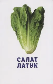 Книга Овощи и зелень. Развивающие карточки () — 5