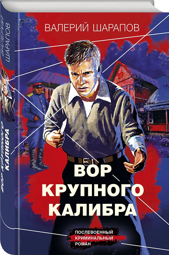 Книга Вор крупного калибра (Валерий Шарапов) — 4