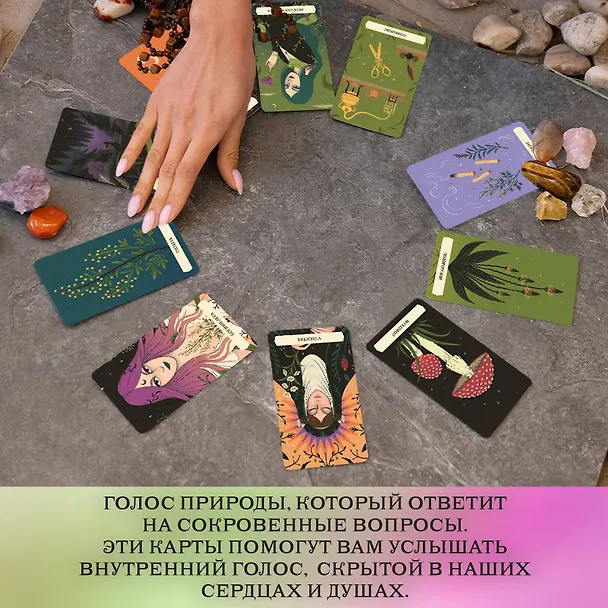 Книга Тайный оракул Зеленой ведьмы (50 карт и руководство в подарочном оформлении) (Сесилия Латтари) — 7