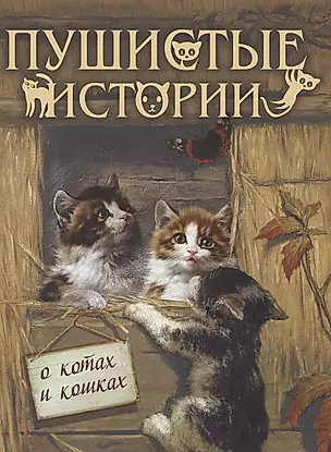 Пушистые истории о котах и кошках — 2870853 — 1