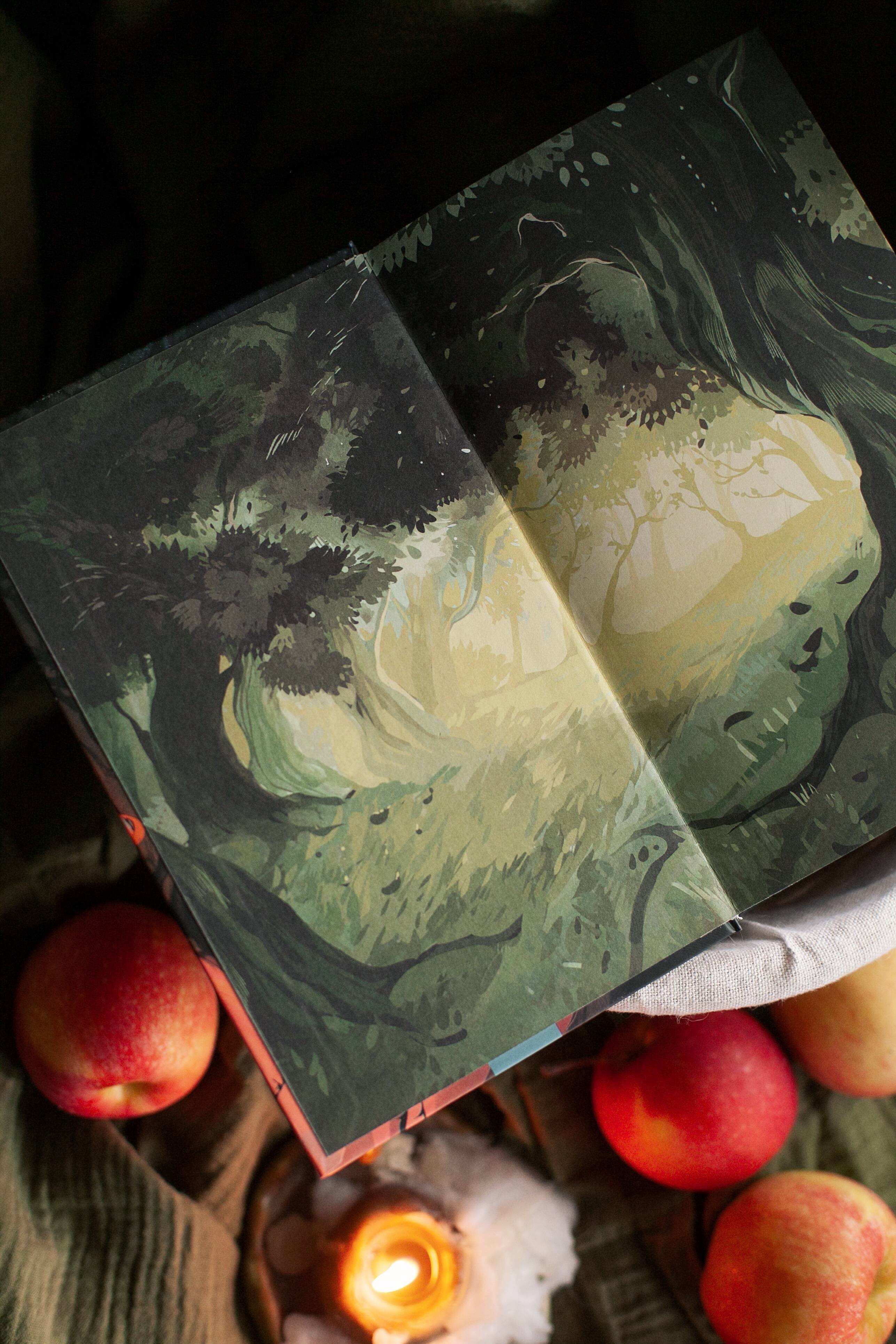 Изображение бумажной книги