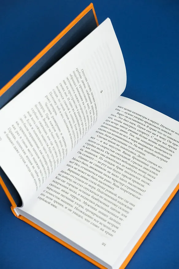 Книга Женщина в песках (Кобо Абэ) — 11