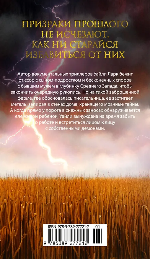 Книга Ночной гость (Хизер Гуденкауф) — 2