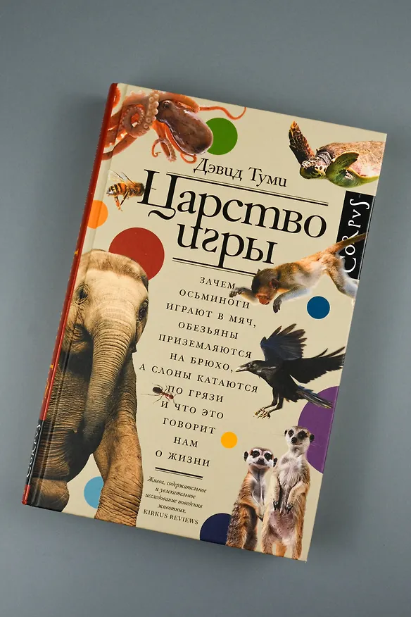 Книга Царство игры (Дэвид Туми) — 7
