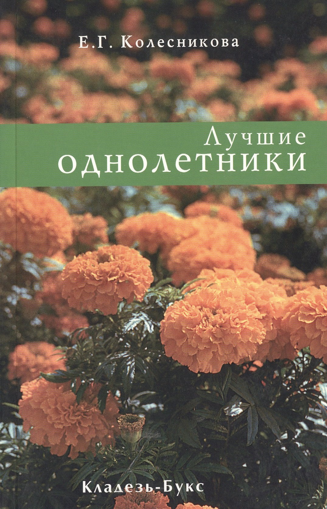 

Все о саде