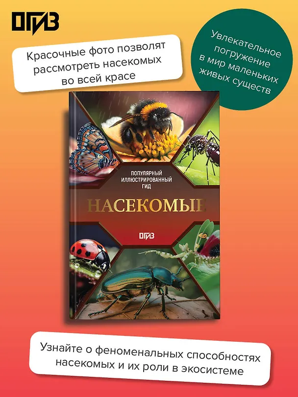 Книга Насекомые. Иллюстрированный гид (Анна Спектор) — 6