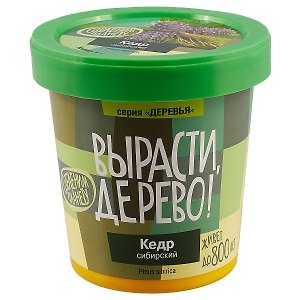 Набор для опытов и экспериментов Набор Вырасти дерево! Кедр сибирский zk-001