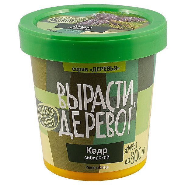 Набор для опытов и экспериментов Набор Вырасти дерево! Кедр сибирский zk-001 2520583 — 1