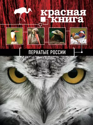 Красная книга. Пернатые России — 2382705 — 1