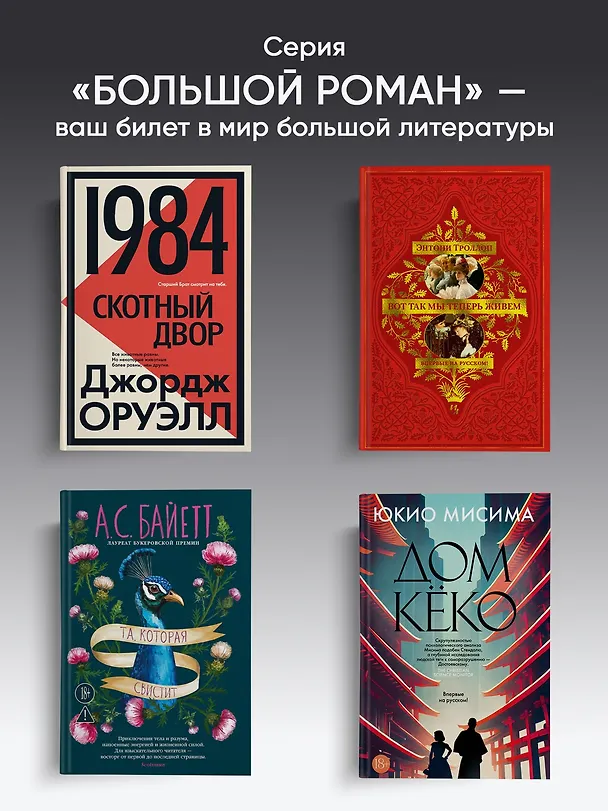 Книга Мои странные мысли (Орхан Памук) — 5