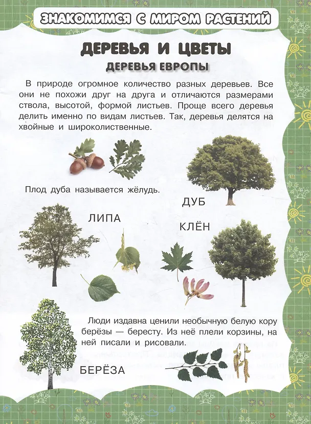 Книга Деревья и цветы (Игорь Резько) — 2