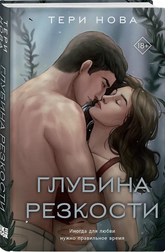 Книга Глубина резкости (Тери Нова) — 4