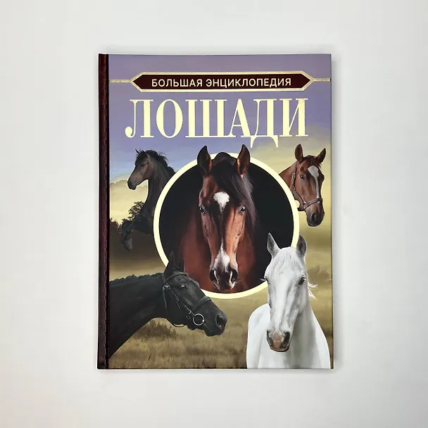 Книга Большая энциклопедия. Лошади (Анна Спектор) — 5