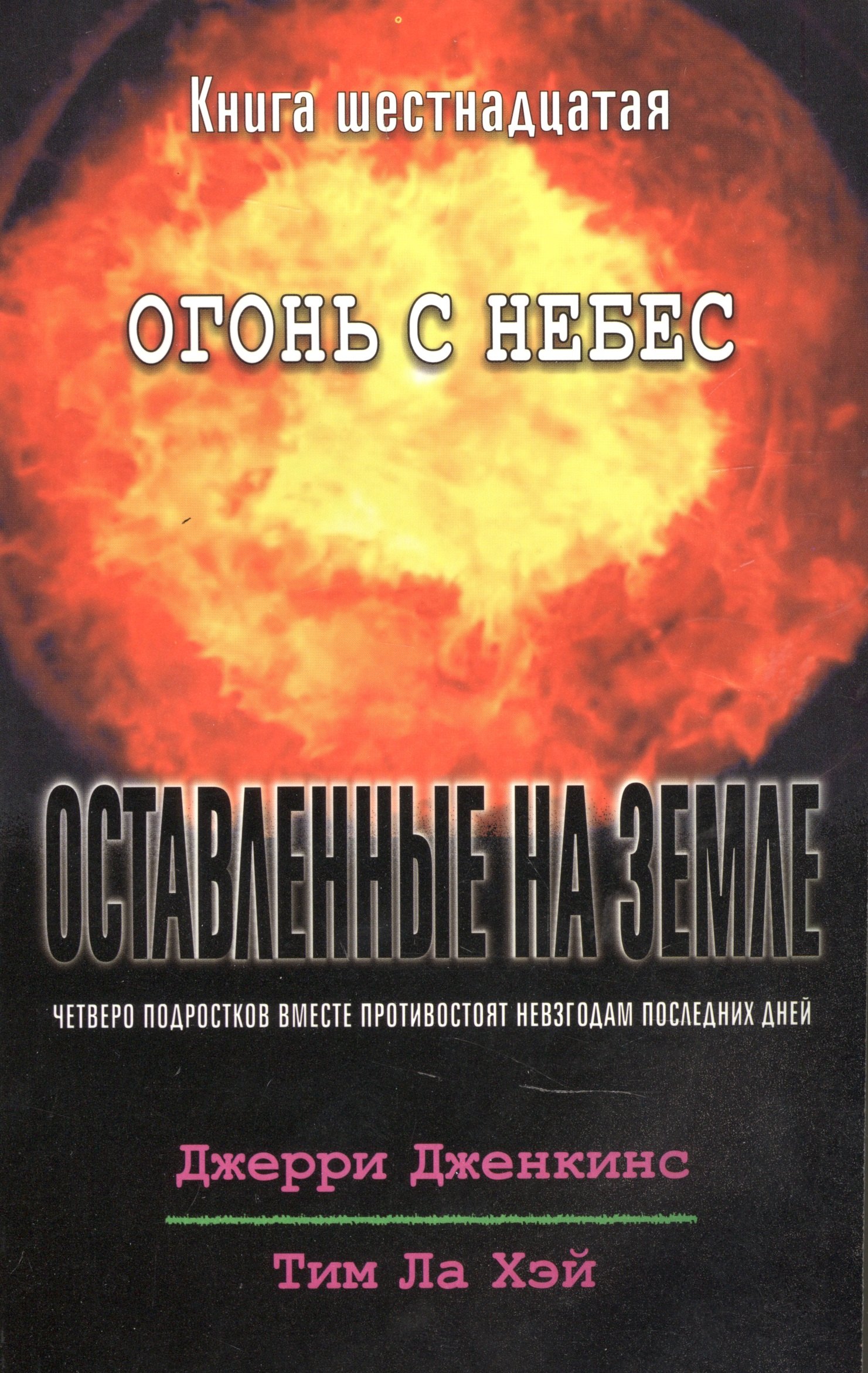 

Оставленные на земле. Книга 16. Огонь с небес