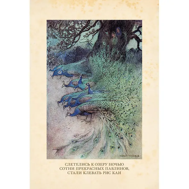 Книга Бенгальские сказки () — 5