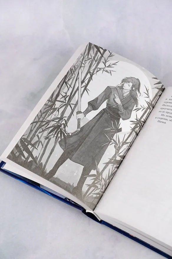 Книга Песнь предсказателя Небес (Дао Цинь) — 13