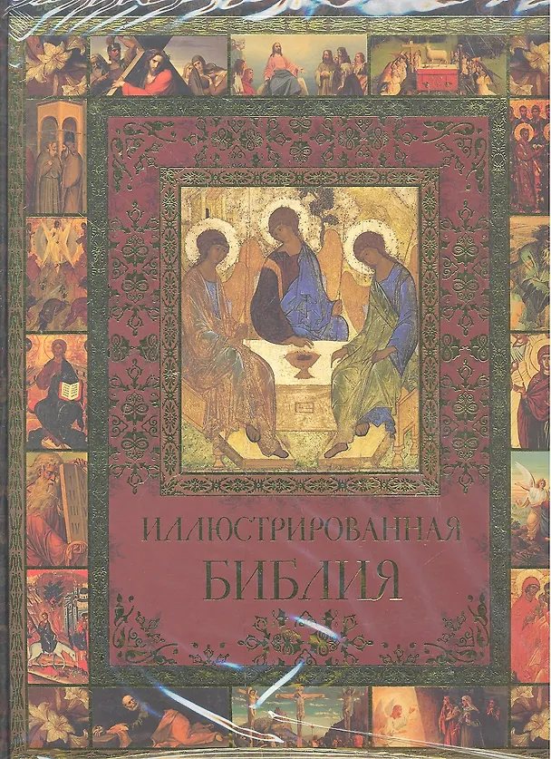Книга Иллюстрированная Библия () — 1