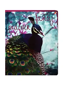 Тетрадь в клетку Альт, "Райские птицы", 48 листов, в ассортименте