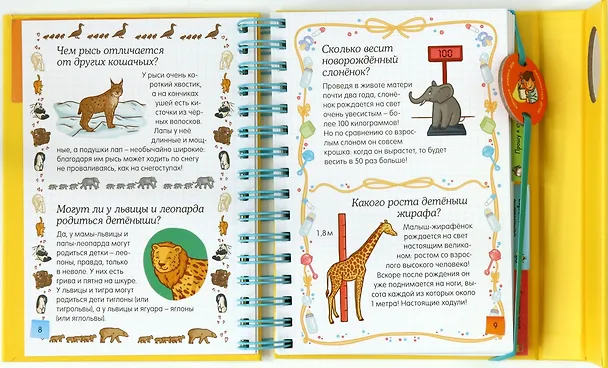Книга Животные - это интересно! (Софи де Мюлленхейм) — 4