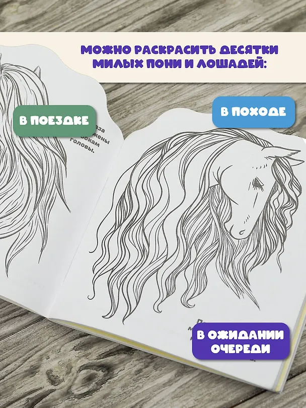 Книга Пони и лошадки () — 5