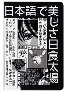 Книга для записей А5 48л тчк. "ЧЁРНО-БЕЛЫЕ ИЕРОГЛИФЫ" 7БЦ, перевертыш