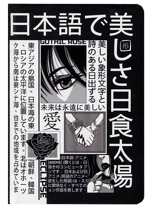 Книга для записей А5 48л тчк. "ЧЁРНО-БЕЛЫЕ ИЕРОГЛИФЫ" 7БЦ, перевертыш 2984308