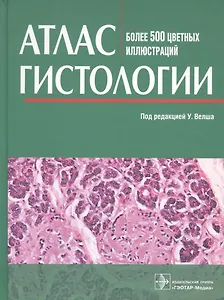 Атлас гистологии. Более 500 цветных иллюстраций