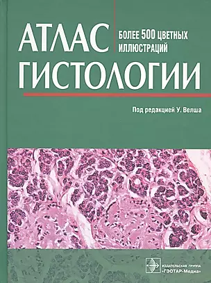 Атлас гистологии. Более 500 цветных иллюстраций — 2715516 — 1