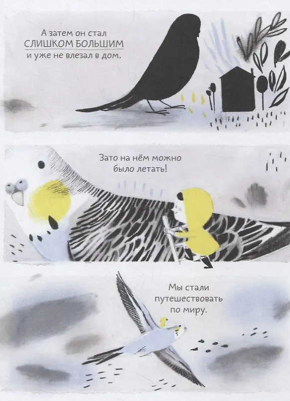 Книга Попугай Колетт (Изабель Арсено) — 4