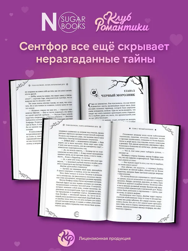Книга Тени Сентфора. Лагерь потерянных душ (Агата Моро) — 8