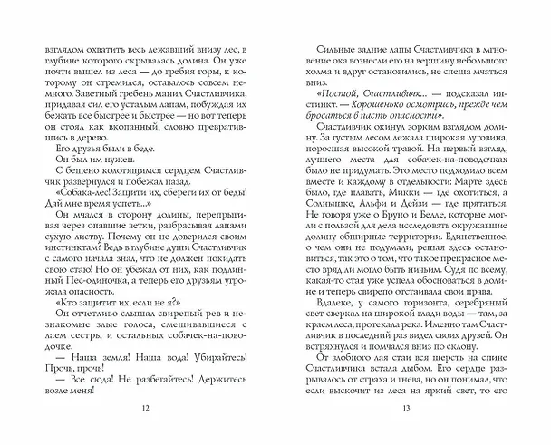 Книга Тайный враг (Эрин Хантер) — 6