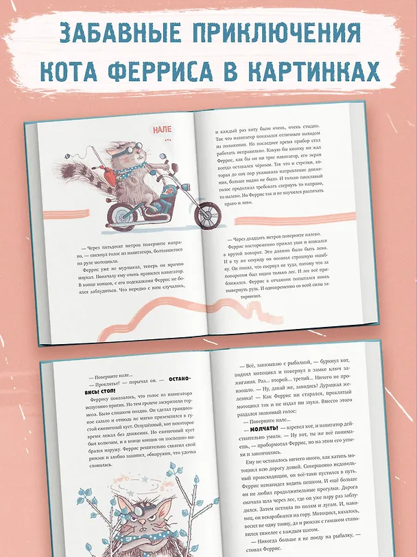 Книга Феррис выходит из себя (Ирене Циммерман) — 7