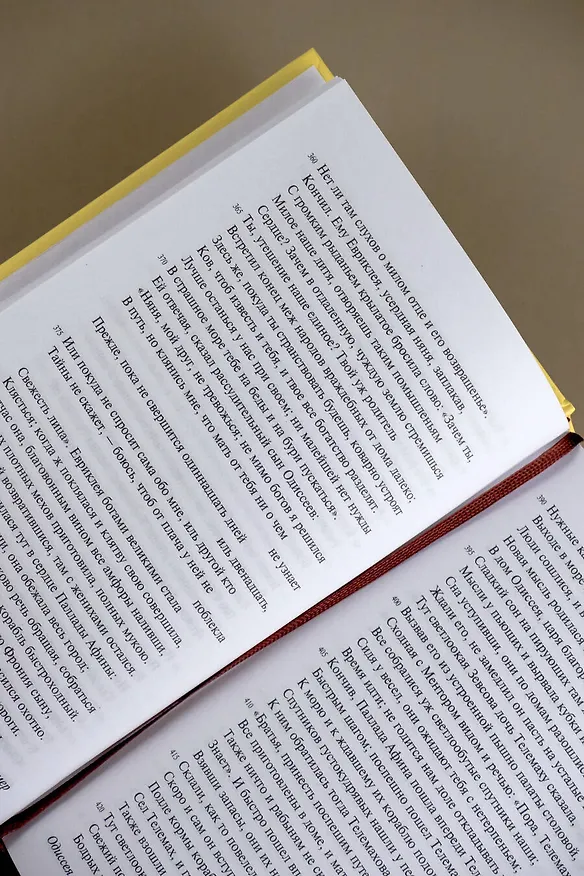 Книга Одиссея (Гомер) — 8