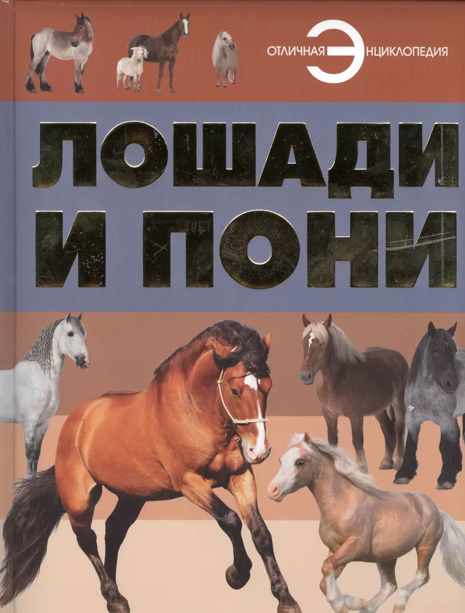 Лошади и пони (Анна Ламбина) - купить книгу с доставкой в интернет-магазине  «Читай-город». ISBN: 978-5-17-089973-9