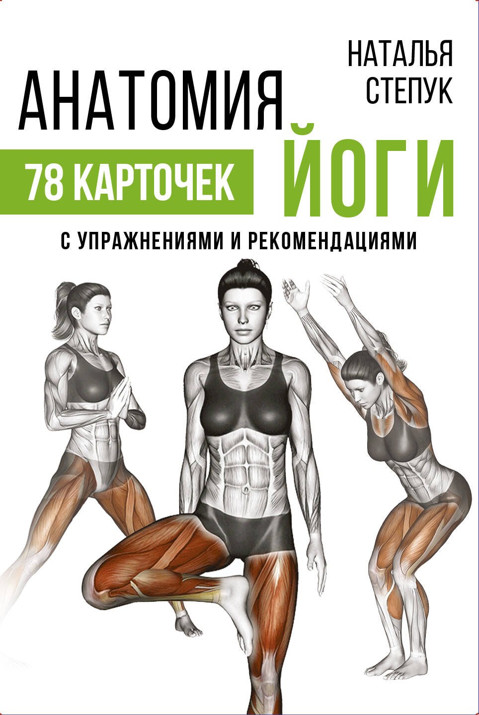 

Анатомия йоги