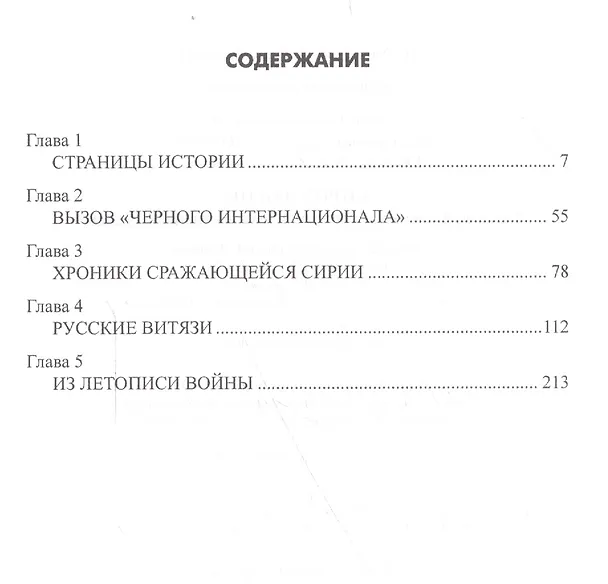 Книга Сирия в огне. Глазами фронтовых корреспондентов "Красной звезды" (Николай Ефимов, Александр Бондаренко) — 2