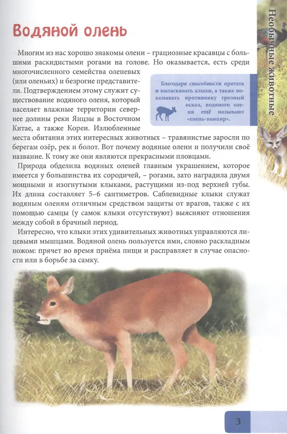 Книга Необычные животные. Энциклопедия (Людмила Соколова) — 3