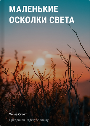 Книга Маленькие осколки света (Эмма Скотт)