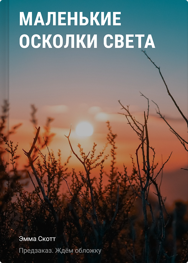 Книга Маленькие осколки света (Эмма Скотт) — 1