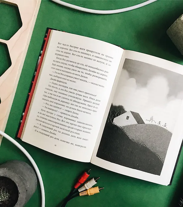 Книга Спасение дикого робота (Питер Браун) — 11