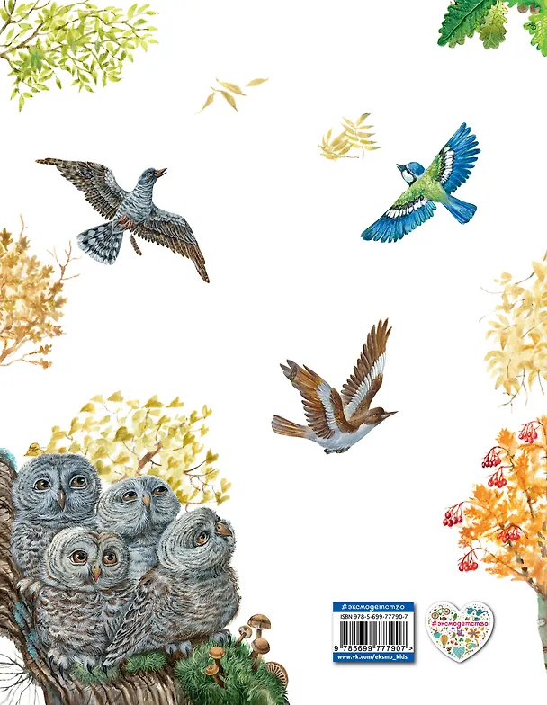 Книга Лесные домишки (Виталий Бианки) — 2