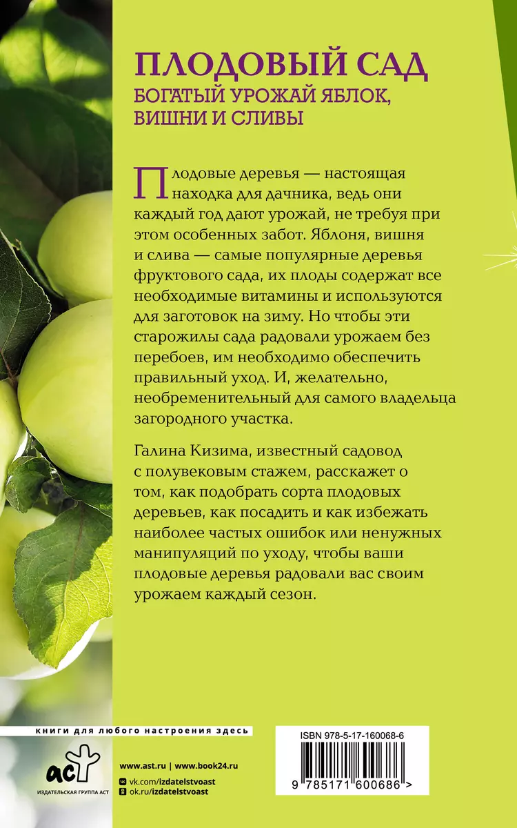 Плодовый сад. Богатый урожай яблок, вишни и сливы (Галина Кизима) - купить  книгу с доставкой в интернет-магазине «Читай-город». ISBN: 978-5-17-160068-6