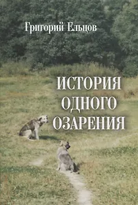 История одного озарения