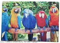 Обложка для паспорта "Попугай"