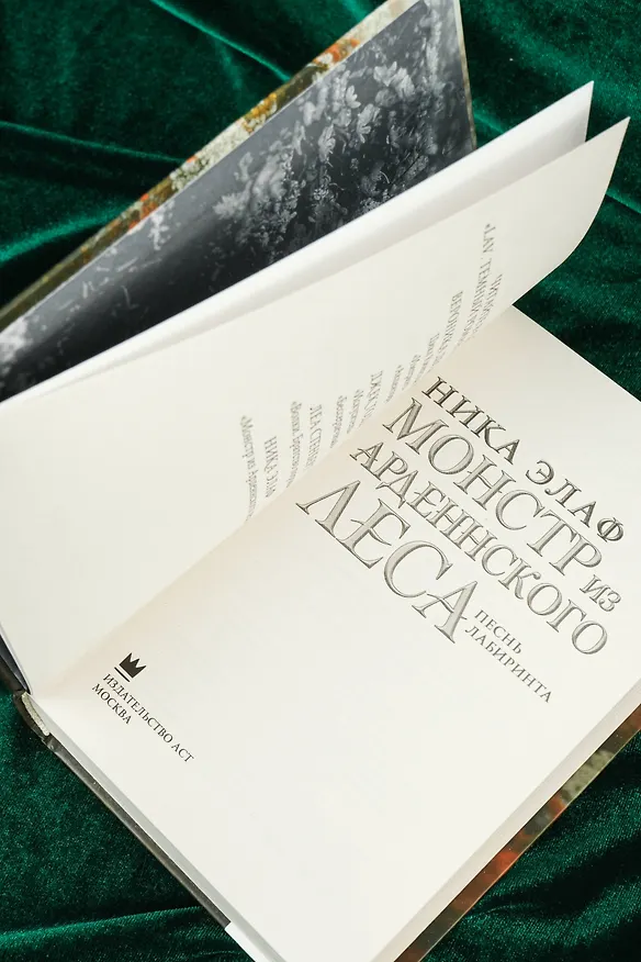 Книга Монстр из Арденнского леса. Песнь лабиринта (Ника Элаф) — 10